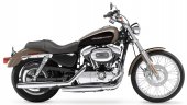 2004 Harley-Davidson XL 1200 C Sportster Custom photo